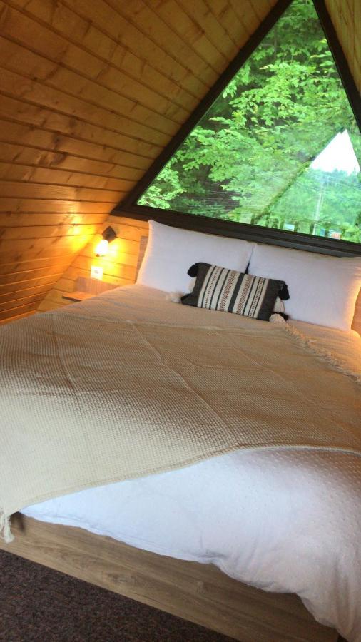 Casutele De Sub Padure Hotel Avrig Luaran gambar
