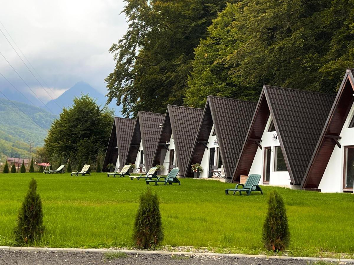 Casutele De Sub Padure Hotel Avrig Luaran gambar